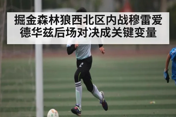 掘金森林狼西北区内战穆雷爱德华兹后场对决成关键变量